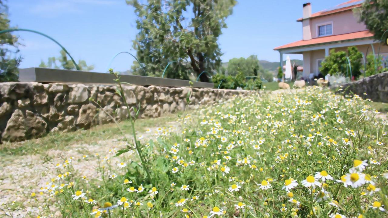 Agroturizem Bylis Hotel Hekal Exterior foto