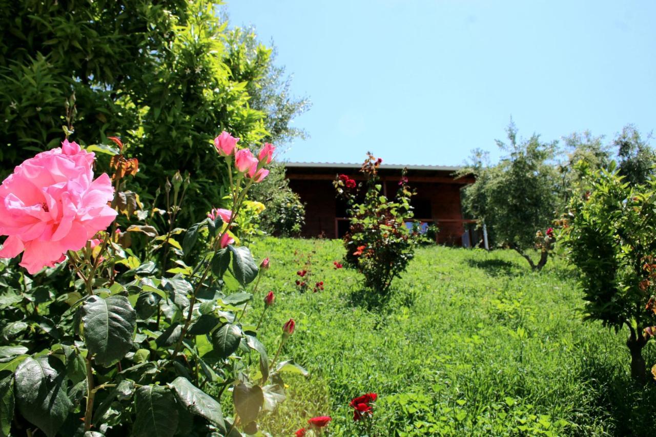 Agroturizem Bylis Hotel Hekal Exterior foto